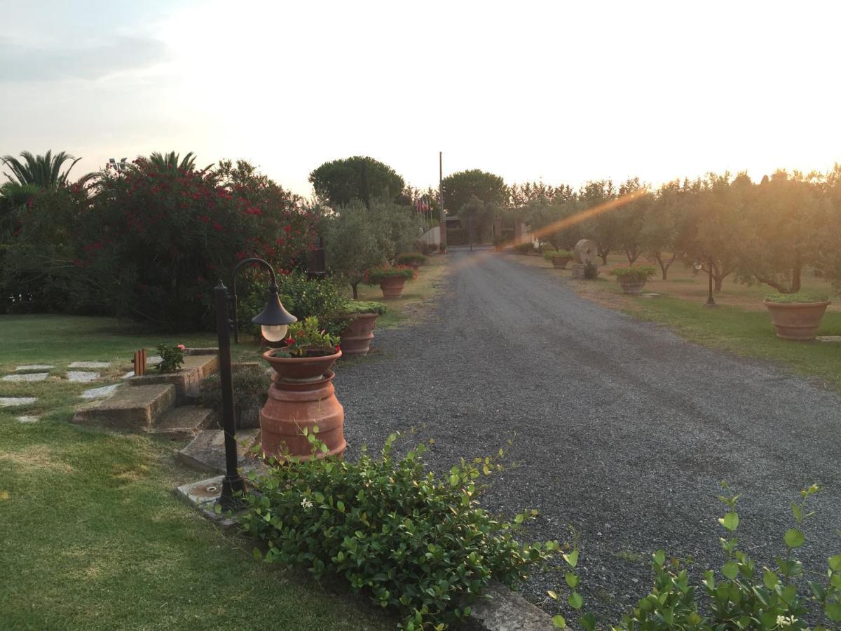 Le Macine Villa เชชินา ภายนอก รูปภาพ